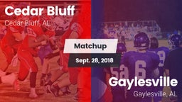 Matchup: Cedar Bluff vs. Gaylesville  2018