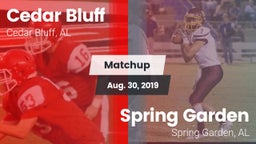 Matchup: Cedar Bluff vs. Spring Garden  2019