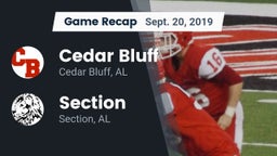 Recap: Cedar Bluff  vs. Section  2019