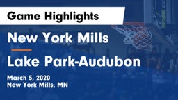 New York Mills  vs Lake Park-Audubon  Game Highlights - March 5, 2020