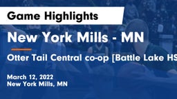 New York Mills  - MN vs Otter Tail Central co-op [Battle Lake HS] Game Highlights - March 12, 2022