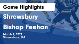Shrewsbury  vs Bishop Feehan  Game Highlights - March 2, 2024