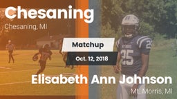 Matchup: Chesaning High vs. Elisabeth Ann Johnson  2018