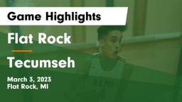 Flat Rock  vs Tecumseh  Game Highlights - March 3, 2023