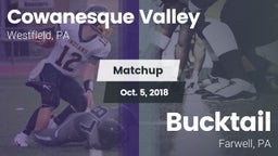 Matchup: Cowanesque Valley vs. Bucktail  2018