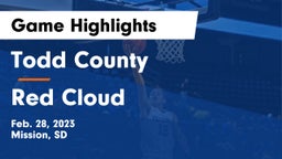 Todd County  vs Red Cloud Game Highlights - Feb. 28, 2023