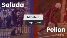 Matchup: Saluda vs. Pelion  2018