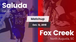 Matchup: Saluda vs. Fox Creek  2018
