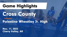 Cross County  vs Palestine Wheatley Jr. High Game Highlights - Nov. 11, 2022