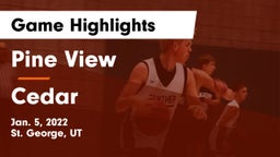 Pine View  vs Cedar  Game Highlights - Jan. 5, 2022