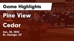 Pine View  vs Cedar  Game Highlights - Jan. 28, 2022