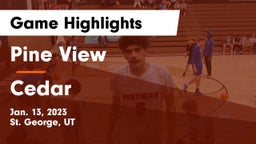 Pine View  vs Cedar  Game Highlights - Jan. 13, 2023