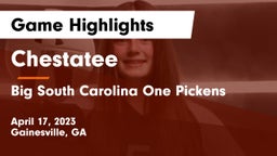 Chestatee  vs Big South Carolina One Pickens Game Highlights - April 17, 2023