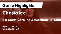 Chestatee  vs Big South Carolina Advantage 18 White Game Highlights - April 17, 2023