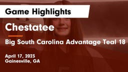 Chestatee  vs Big South Carolina Advantage Teal 18 Game Highlights - April 17, 2023