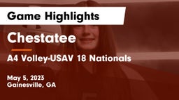 Chestatee  vs A4 Volley-USAV 18 Nationals Game Highlights - May 5, 2023