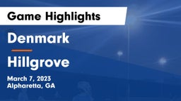 Denmark  vs Hillgrove  Game Highlights - March 7, 2023