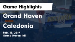 Grand Haven  vs Caledonia  Game Highlights - Feb. 19, 2019
