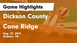 Dickson County  vs Cane Ridge  Game Highlights - Aug. 22, 2019