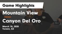 Mountain View  vs Canyon Del Oro  Game Highlights - March 10, 2020