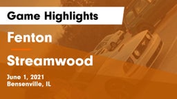 Fenton  vs Streamwood  Game Highlights - June 1, 2021