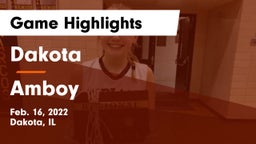 Dakota  vs Amboy  Game Highlights - Feb. 16, 2022