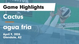 Cactus  vs agua fria Game Highlights - April 9, 2024