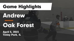 Andrew  vs Oak Forest  Game Highlights - April 5, 2023