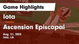 Iota  vs Ascension Episcopal  Game Highlights - Aug. 31, 2023
