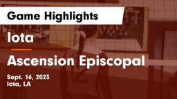 Iota  vs Ascension Episcopal  Game Highlights - Sept. 16, 2023