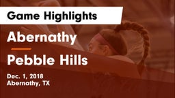 Abernathy  vs Pebble Hills  Game Highlights - Dec. 1, 2018
