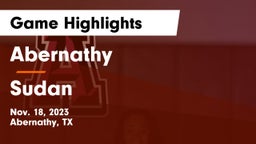 Abernathy  vs Sudan  Game Highlights - Nov. 18, 2023