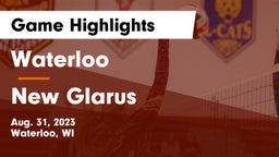 Waterloo  vs New Glarus  Game Highlights - Aug. 31, 2023