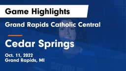 Grand Rapids Catholic Central  vs Cedar Springs  Game Highlights - Oct. 11, 2022