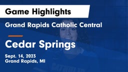 Grand Rapids Catholic Central  vs Cedar Springs  Game Highlights - Sept. 14, 2023
