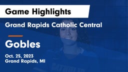 Grand Rapids Catholic Central  vs Gobles  Game Highlights - Oct. 25, 2023