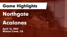 Northgate  vs Acalanes  Game Highlights - April 16, 2024