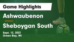 Ashwaubenon  vs Sheboygan South  Game Highlights - Sept. 13, 2022