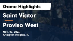 Saint Viator  vs Proviso West  Game Highlights - Nov. 20, 2023