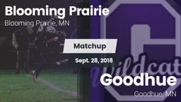 Matchup: Blooming Prairie vs. Goodhue  2018