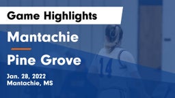 Mantachie  vs Pine Grove Game Highlights - Jan. 28, 2022