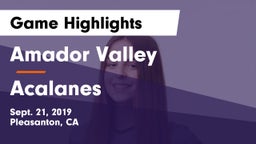 Amador Valley  vs Acalanes  Game Highlights - Sept. 21, 2019