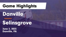 Danville  vs Selinsgrove  Game Highlights - June 2, 2023