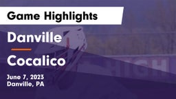 Danville  vs Cocalico  Game Highlights - June 7, 2023