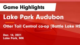 Lake Park Audubon  vs Otter Tail Central co-op [Battle Lake HS] Game Highlights - Dec. 14, 2021