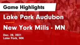 Lake Park Audubon  vs New York Mills  - MN Game Highlights - Dec. 28, 2021