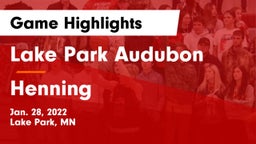 Lake Park Audubon  vs Henning  Game Highlights - Jan. 28, 2022