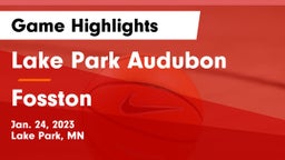 Lake Park Audubon  vs Fosston  Game Highlights - Jan. 24, 2023