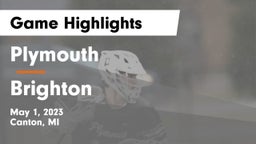 Plymouth  vs Brighton  Game Highlights - May 1, 2023