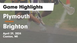 Plymouth  vs Brighton  Game Highlights - April 29, 2024